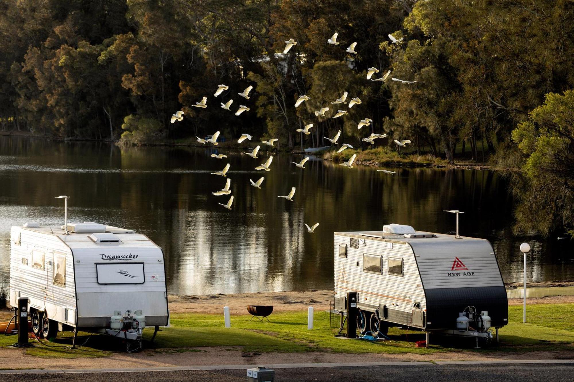 Big4 Wallaga Campsite Bermagui
